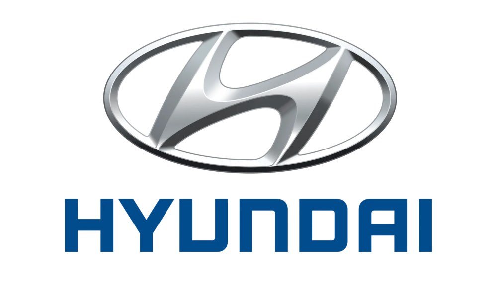 logo -1-30